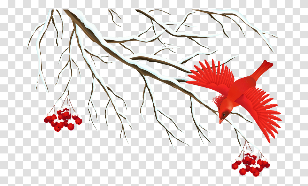 Mq Background Winter Clipart Free, Plant, Root, Bird, Animal Transparent Png