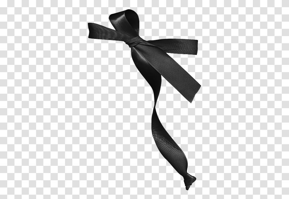 Mq Black Ribbon Bows Bow Black Ribbon Bow, Apparel, Strap, Bird Transparent Png