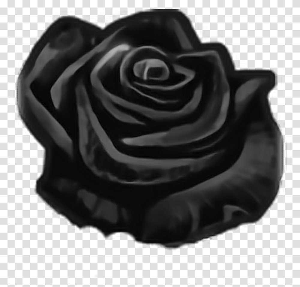 Mq Black Rose Roses Flowers Flower Floribunda, Plant, Blossom, Petal Transparent Png