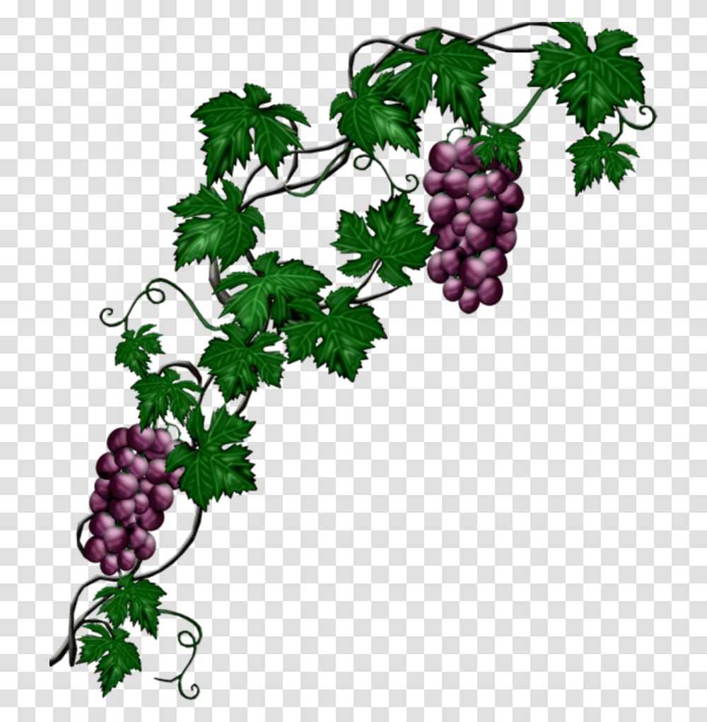 Mq Blue Grape Grapes Vine Vines Grape Vine, Plant, Fruit, Food, Leaf Transparent Png