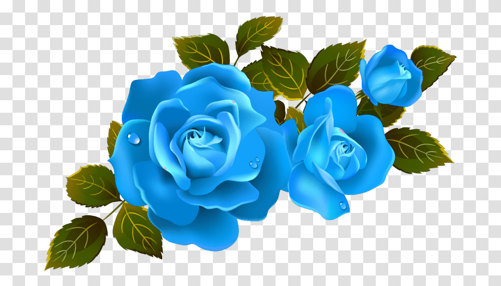 Mq Blue Roses Rose Flower Flowers Clipart Roses Background, Plant, Blossom, Petal, Anemone Transparent Png