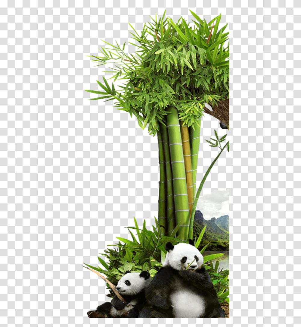 Mq Grass Green Bambu Panda Nature Grass, Giant Panda, Bear, Wildlife, Mammal Transparent Png