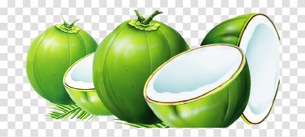 Mq Green Coconut Coconuts Green Background Coconut, Plant, Vegetable, Food Transparent Png