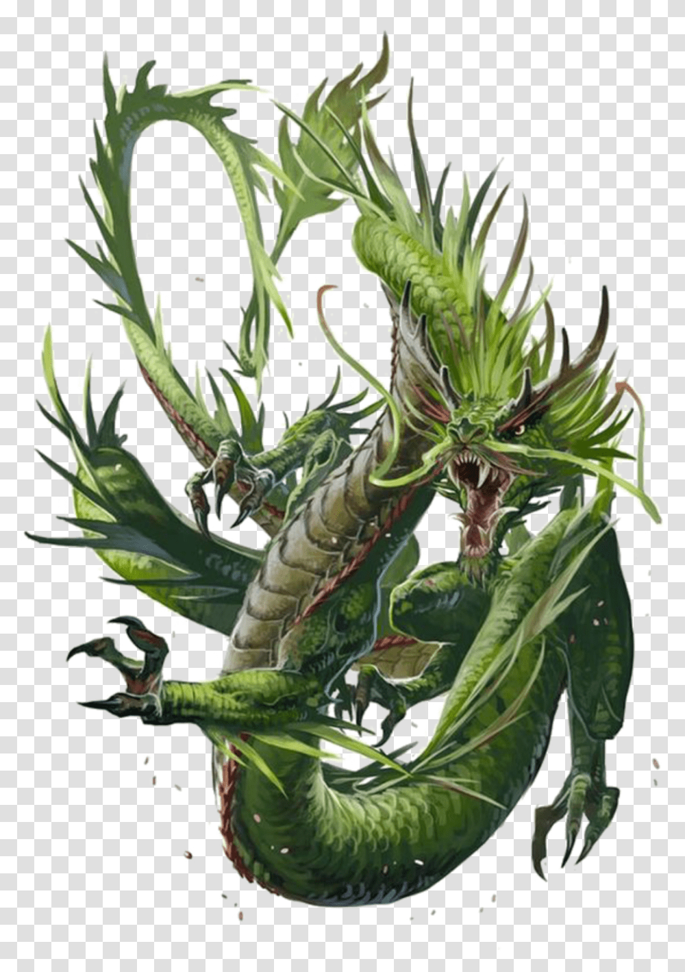 Mq Green Dragon Dragons Fantasy Chinese Dragon Fantasy Art, Plant, Flower, Vegetation, Apiaceae Transparent Png