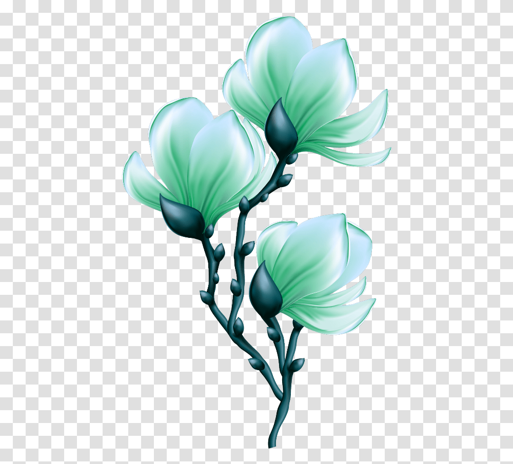 Mq Green Flowers Flower Garden Nature Postenesanmerkung Blooming Flower, Plant, Blossom, Petal, Graphics Transparent Png