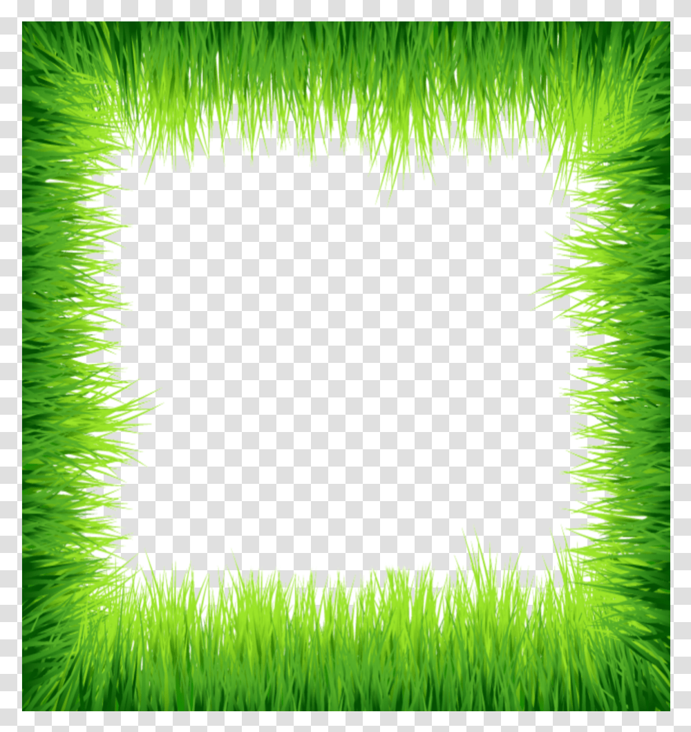 Mq Green Grass Frame Frames Border Borders Grass, Wreath, Purple, Hole, Photography Transparent Png