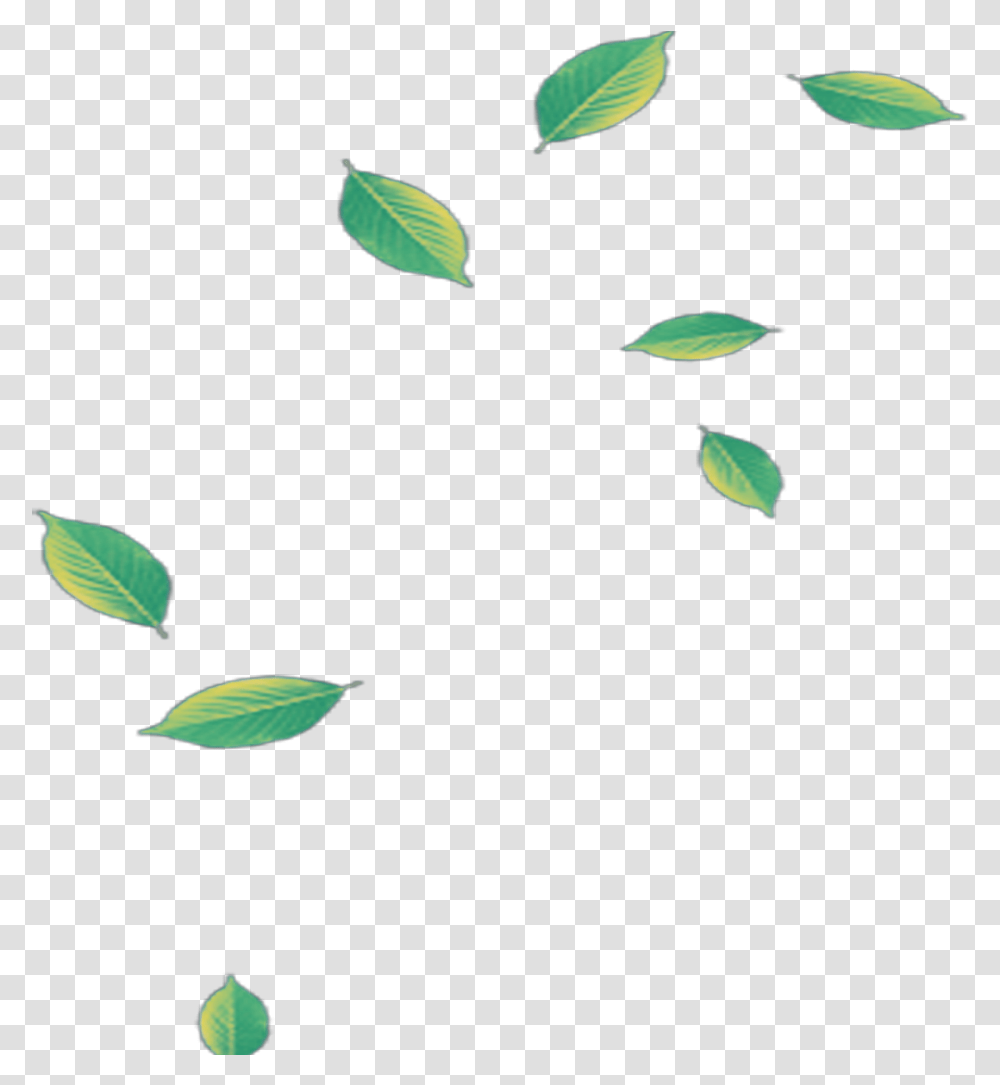 Mq Green Leaf Leaves Falling Green Leaves Falling, Plant, Petal, Flower, Acanthaceae Transparent Png
