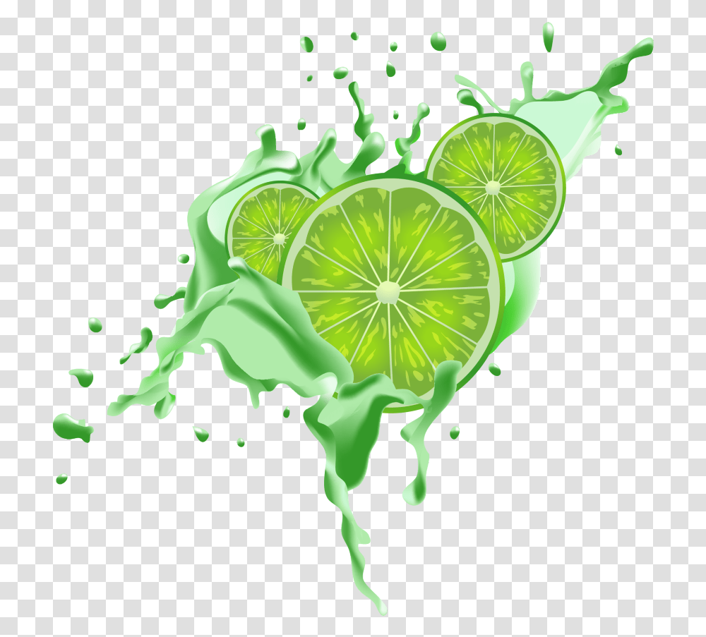 Mq Green Lime Splash Fruits Green Lemon, Citrus Fruit, Plant, Food, Beverage Transparent Png