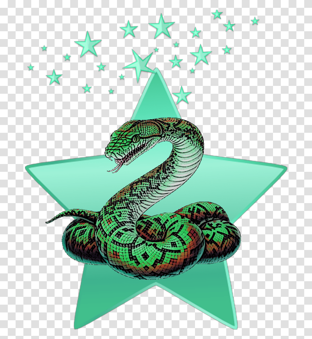 Mq Green Snake Stars Star Animal Snake, Reptile, Bird, Star Symbol Transparent Png
