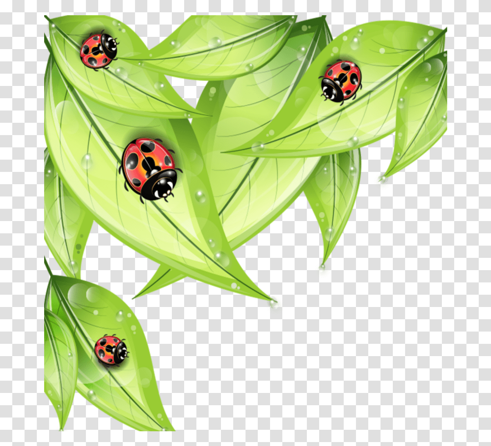 Mq Leaf Leaves Ladybug Ladybugs Cartoon Bug On A Leaf, Plant, Green, Vegetation Transparent Png