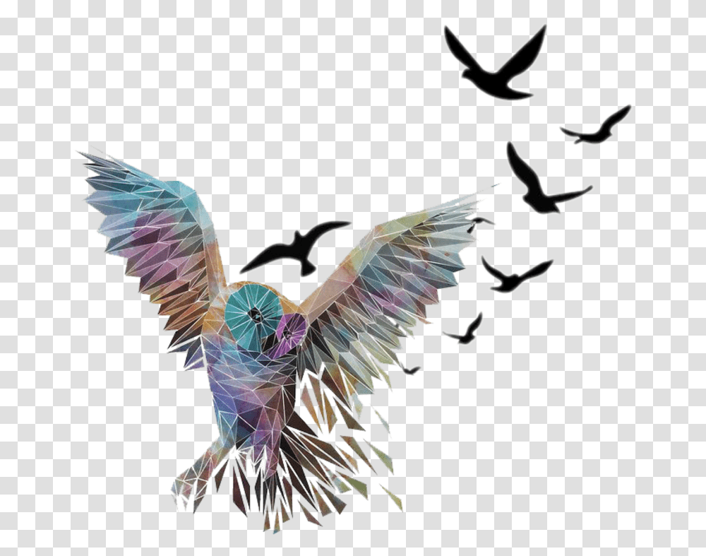 Mq Owl Bird Flying Birds Black Flying Birds Images White Background, Animal, Dance, Crowd Transparent Png