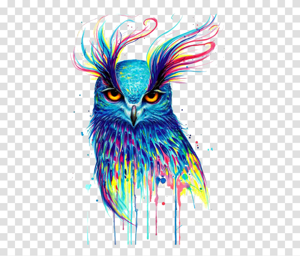 Mq Owl Colorful Paint Birds Bird Flying Owl Art, Pattern, Ornament, Animal Transparent Png