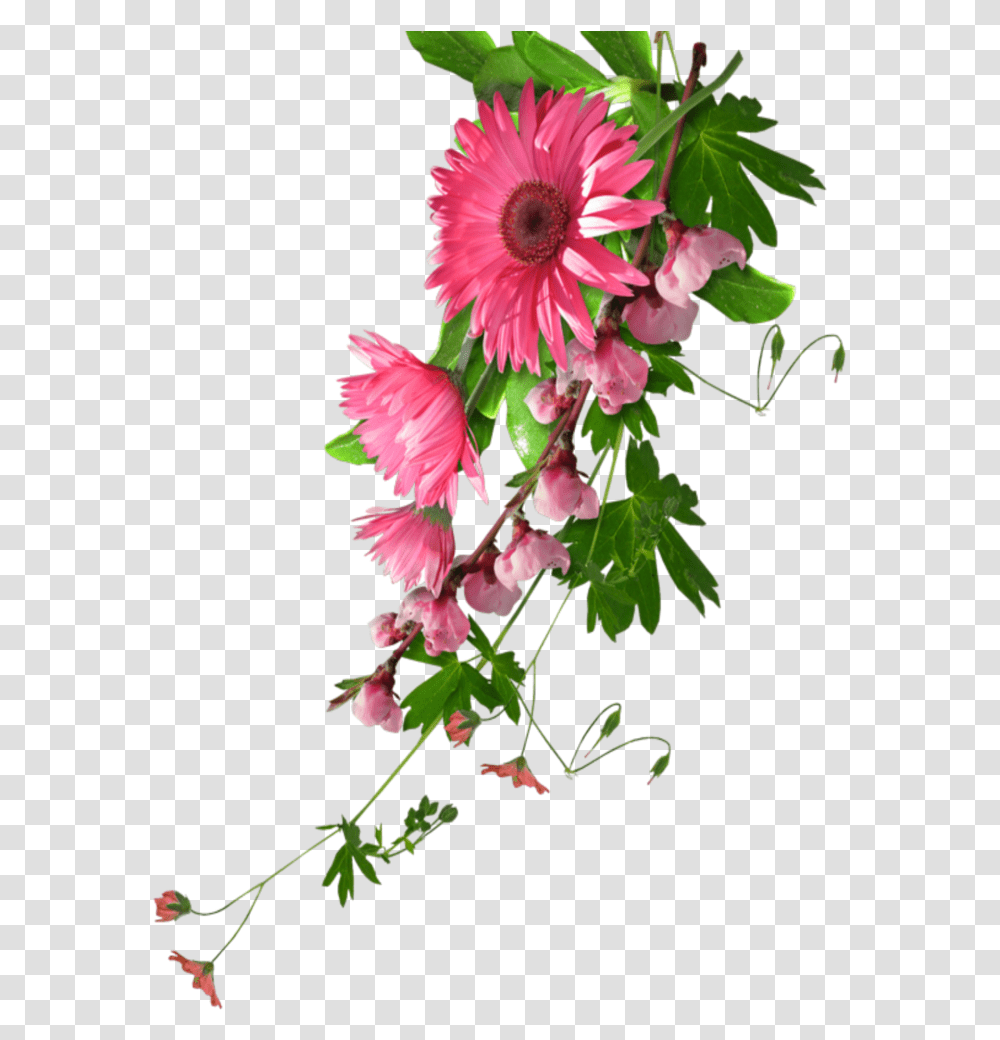 Mq Pink Flowers Flower Garden Nature Real Flower No Background, Plant, Floral Design, Pattern Transparent Png