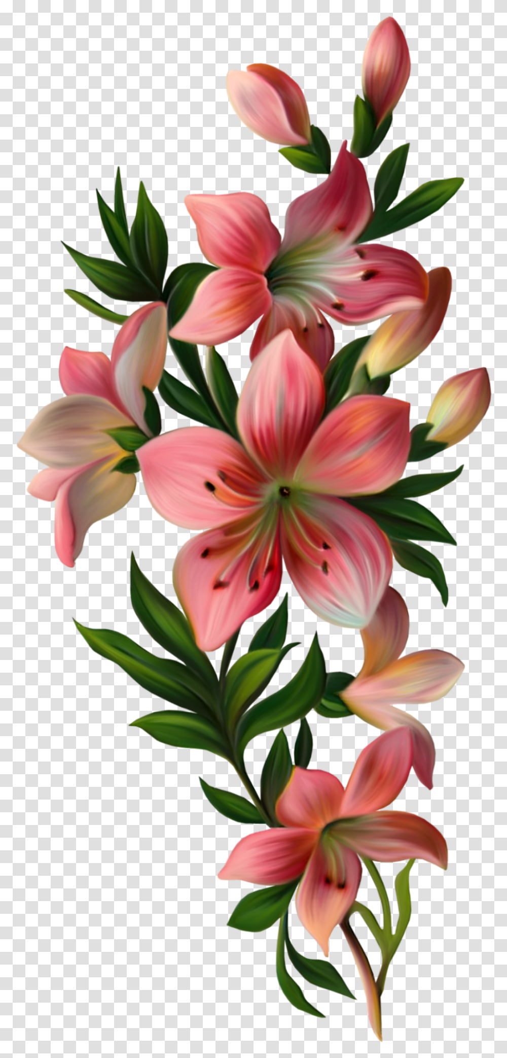 Mq Pink Lily Flowers Flower Garden Nature Flowers With Leaves, Plant, Blossom, Amaryllis, Pineapple Transparent Png
