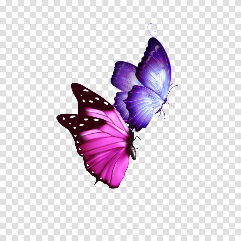 Mq Pink Purple Butterfly Butterflys, Animal, Insect, Invertebrate, Monarch Transparent Png