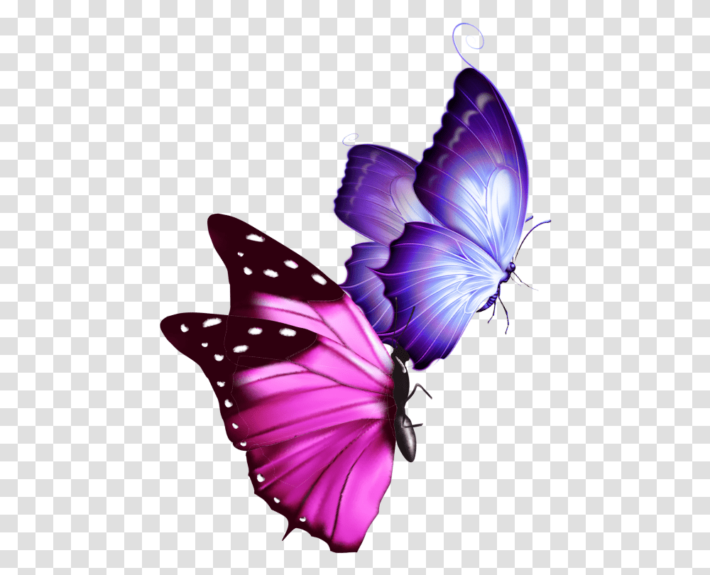 Mq Pink Purple Butterfly Butterflys Real Life Pink And Purple Butterfly, Insect, Invertebrate, Animal, Ornament Transparent Png