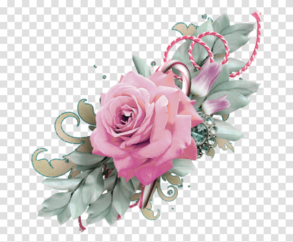 Mq Pink Rose Flower Border Clipart Rose Flower, Plant, Blossom, Floral Design Transparent Png