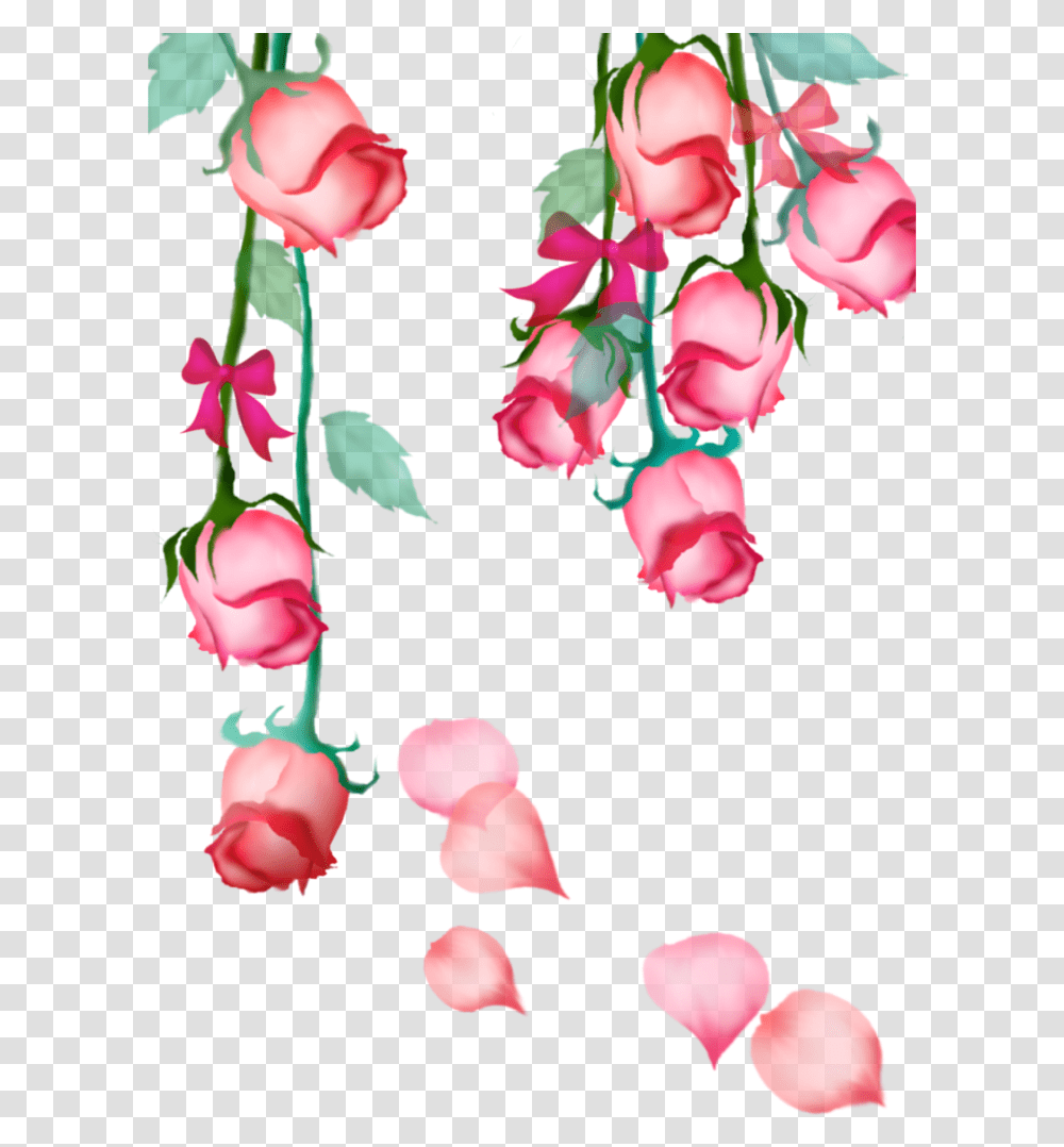 Mq Pink Rose Roses Hanging Bow Flowers Flower Hanging Flowers, Petal, Plant, Blossom, Orchid Transparent Png