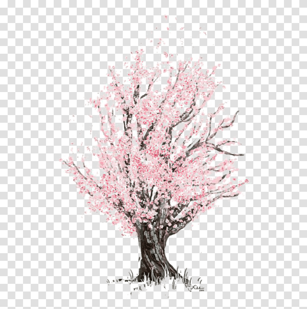 Mq Pink Tree Blossom Watercolor Cherry Blossom Tree Drawing, Plant, Flower, Reef, Outdoors Transparent Png