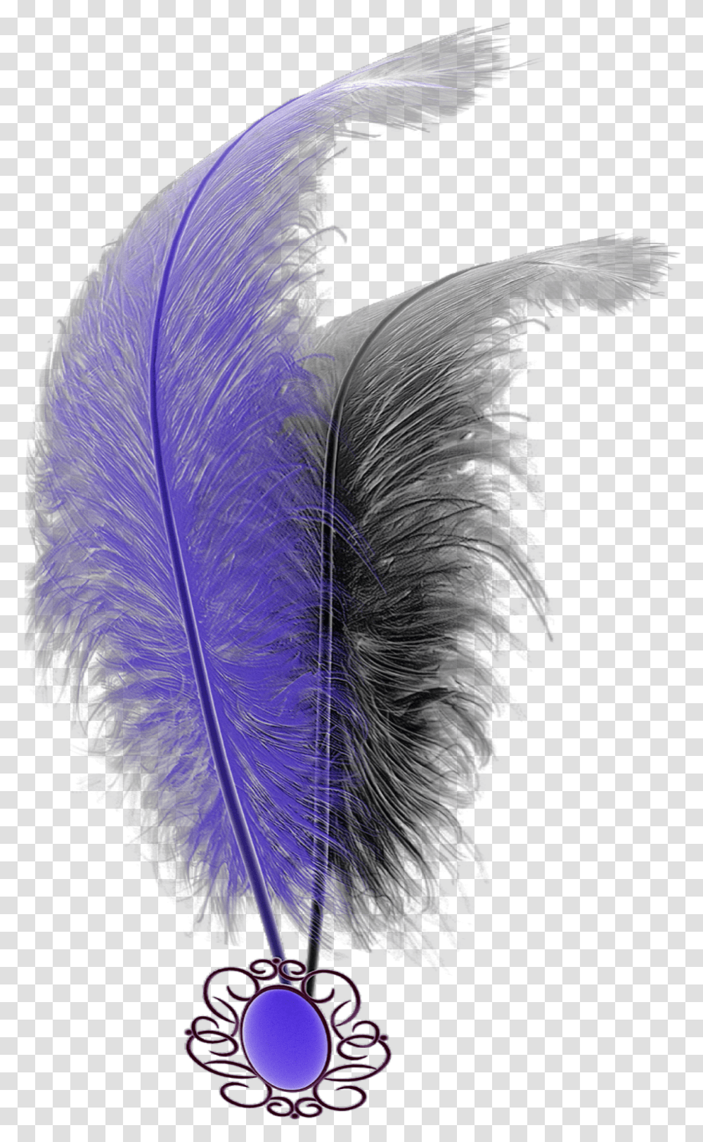 Mq Purple Black Feathers Feather Feather, Bird, Animal, Iris, Plant Transparent Png