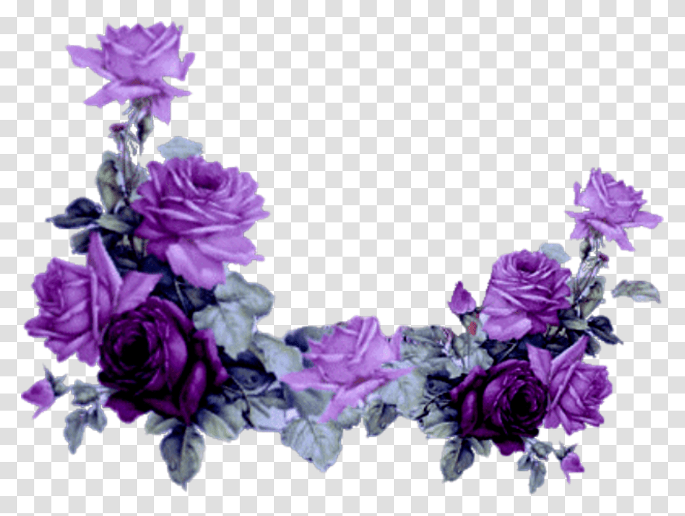 Mq Purple Roses Rose Border Borders Purple Rose Flower Border, Plant, Blossom, Flower Bouquet, Flower Arrangement Transparent Png