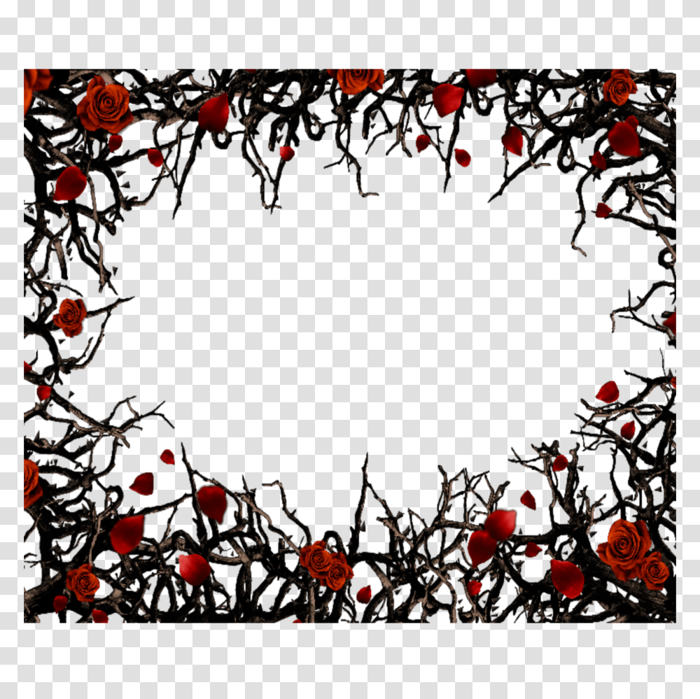 Mq Red Black Roses Gothic Frame Frames Border Borders, Plant, Alphabet Transparent Png