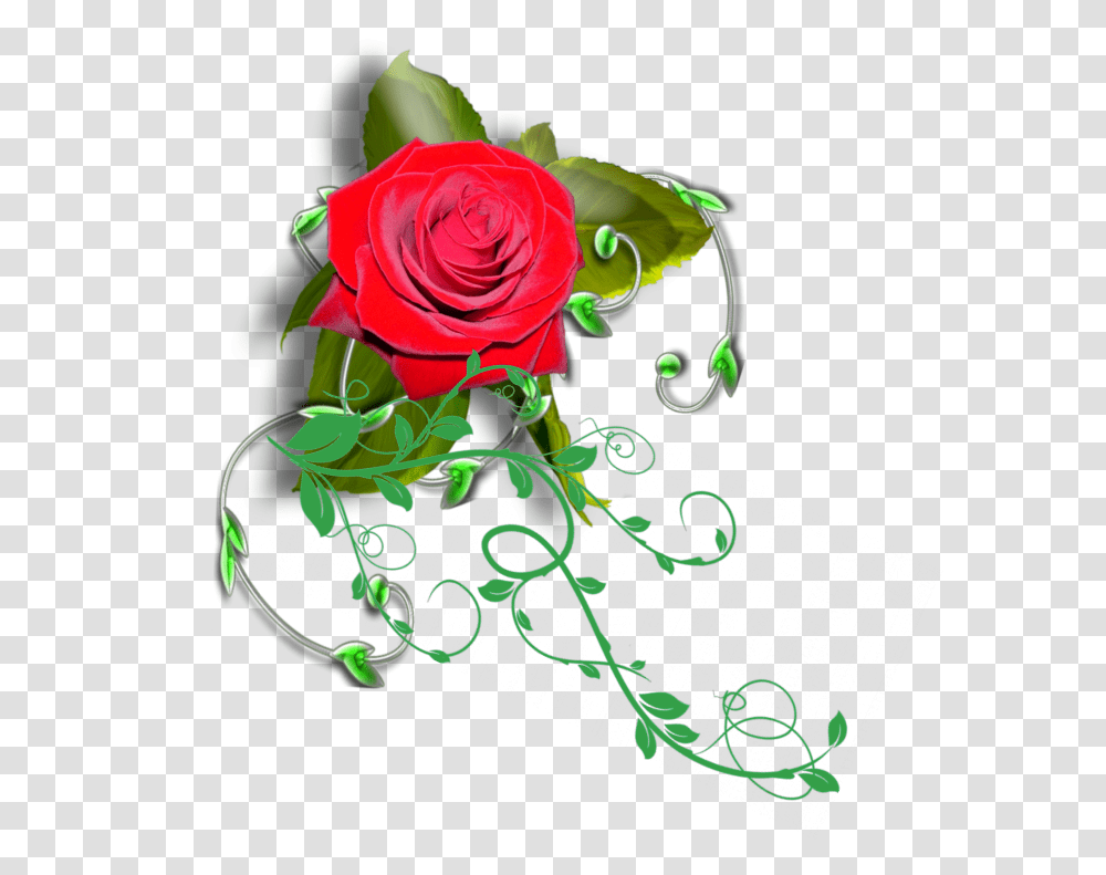 Mq Red Rose Vines Garden Roses, Flower, Plant, Blossom Transparent Png
