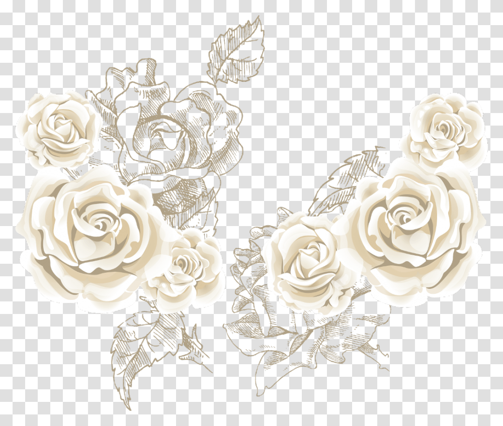 Mq Rose Roses White Flowers Flower Garden White Rose Background Vector, Floral Design, Pattern Transparent Png