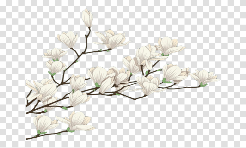 Mq White Flowers Flower Garden Nature Snowdrop, Plant, Blossom, Floral Design, Pattern Transparent Png