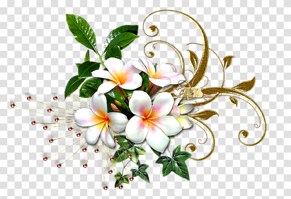 Mq White Gold Flowers Flower Garden Rosa Glauca White And Gold Flowers, Plant, Blossom, Floral Design, Pattern Transparent Png