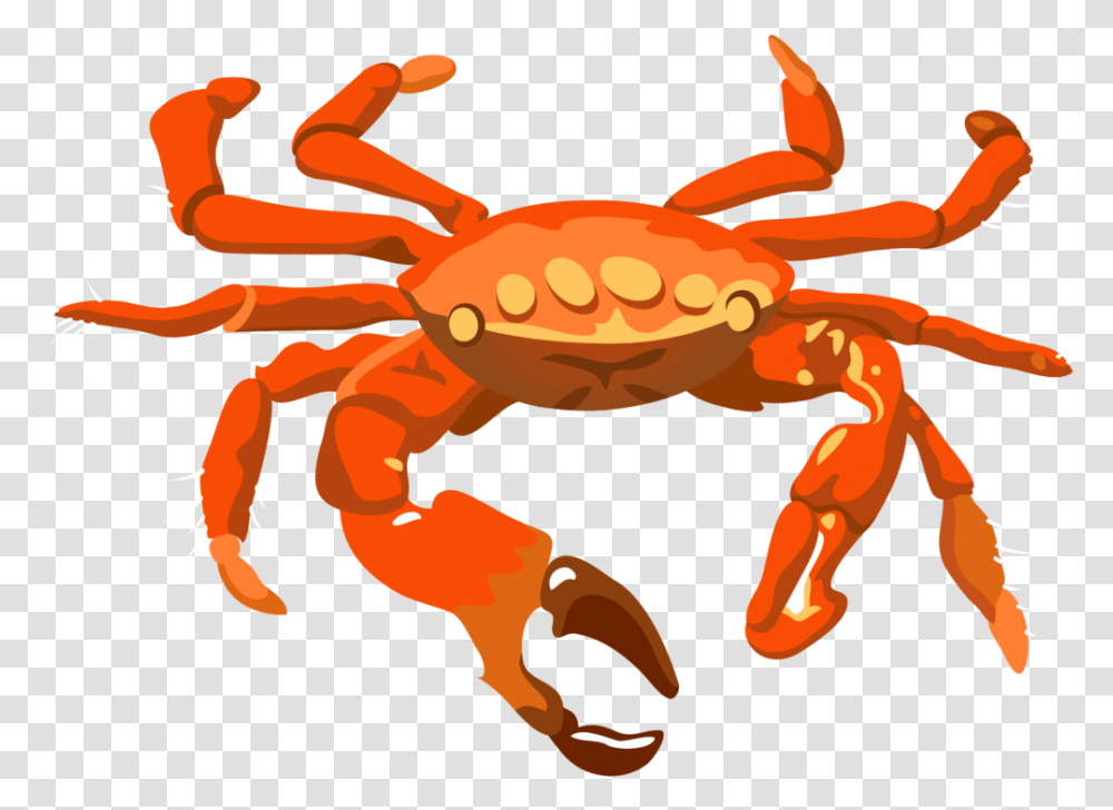 Mr Crabs Crab Background, Seafood, Sea Life, Animal, King Crab Transparent Png