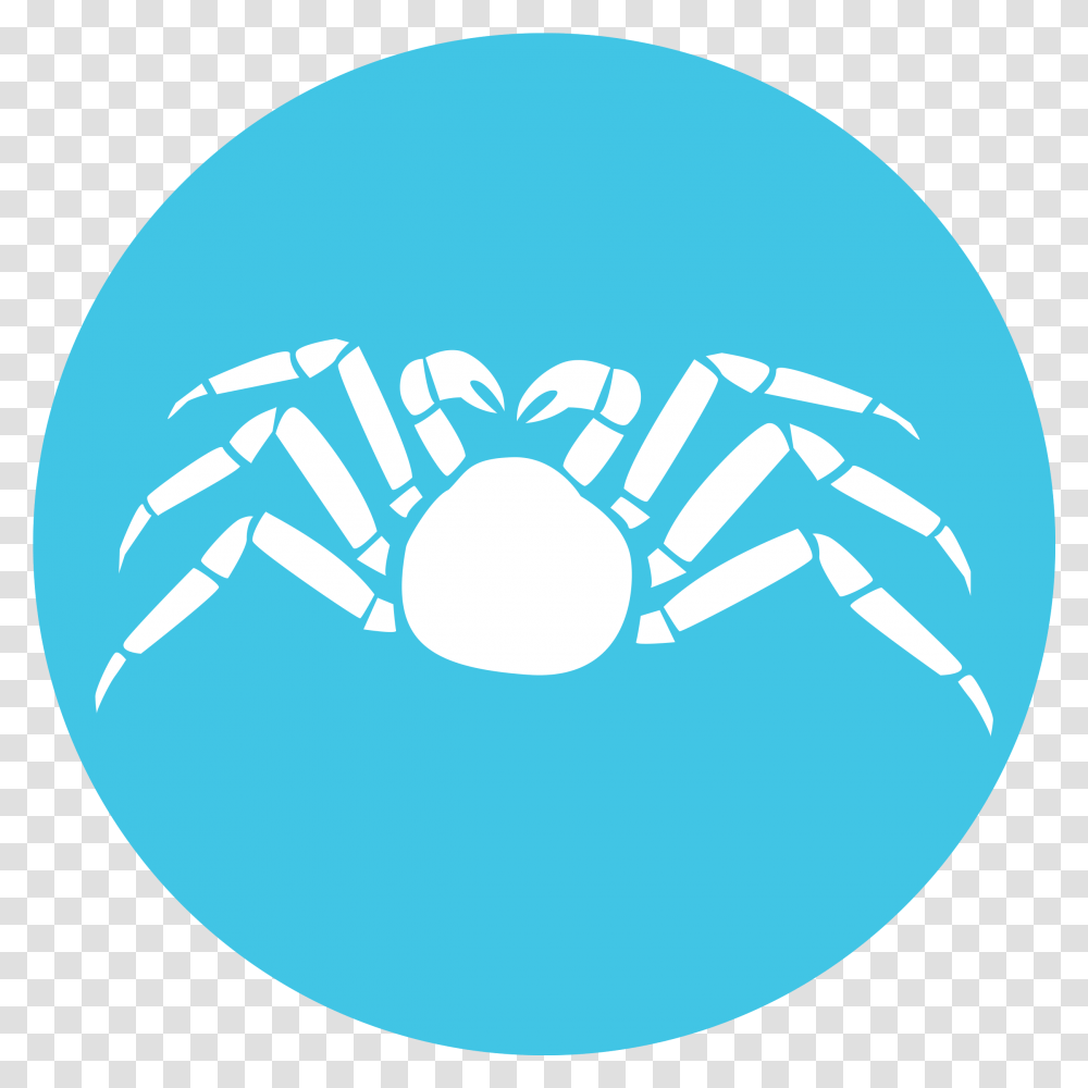 Mr Crabs, Food, Sphere, Sea Life, Animal Transparent Png