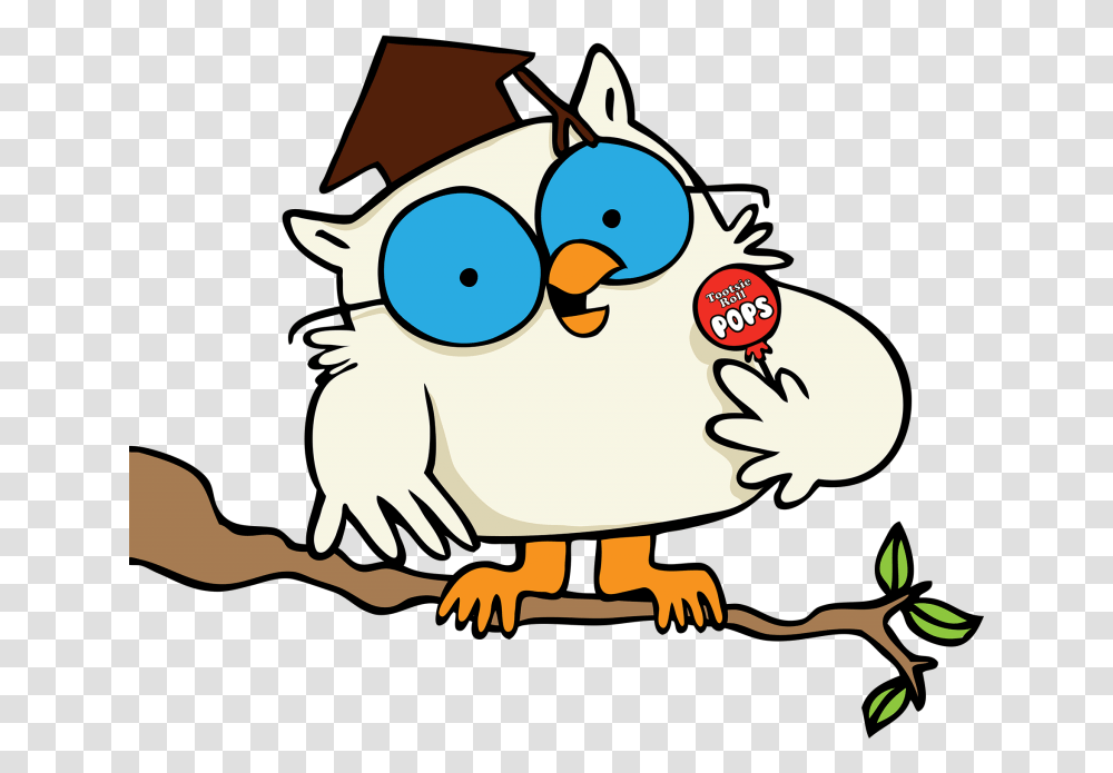 Mr Owl On Branch Tootsie Pop Owl, Bird, Animal, Fowl, Poultry Transparent Png