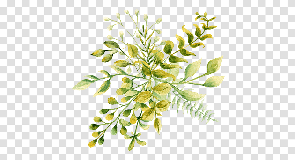 Mrs Gardener Watercolor Painting, Plant, Leaf, Flower, Vegetation Transparent Png