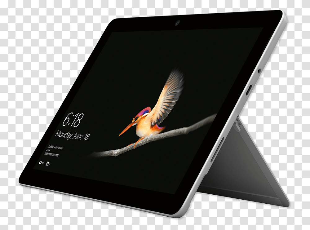 Ms Surface Go, Computer, Electronics, Tablet Computer, Bird Transparent Png