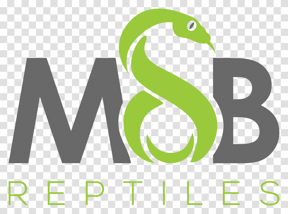Msb Reptiles Graphic Design, Number, Logo Transparent Png