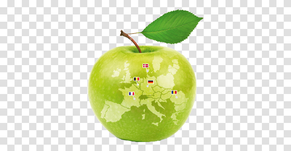 Msc Sustainable Food Systems Pictures Of Apple Logo, Tennis Ball, Sport, Sports, Plant Transparent Png