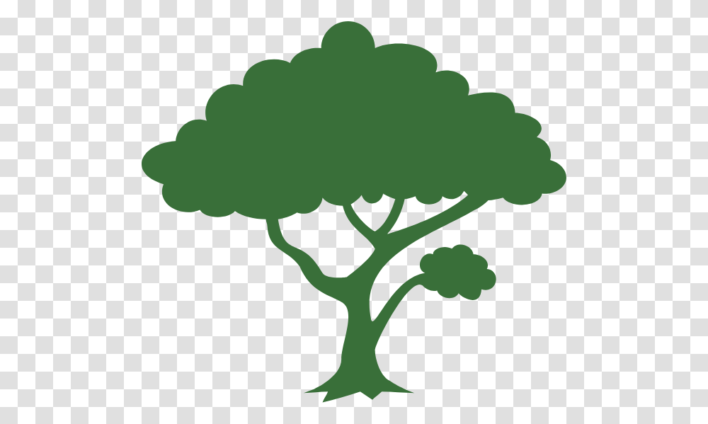 Mtamps Tree Trimming Service Lubbock Your Price Is Our Price, Plant, Silhouette, Vegetable, Food Transparent Png