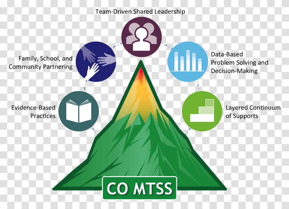 Mtss Colorado, Tree, Plant Transparent Png