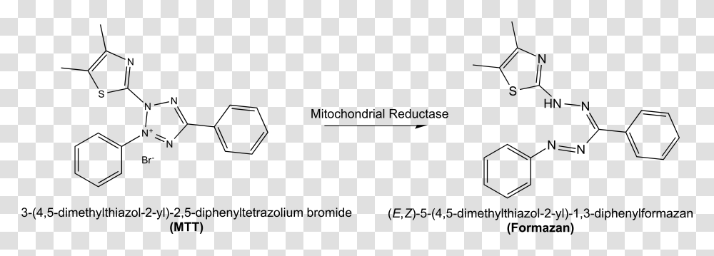 Mtt Reaction Mtt Formazan, Gray, World Of Warcraft Transparent Png