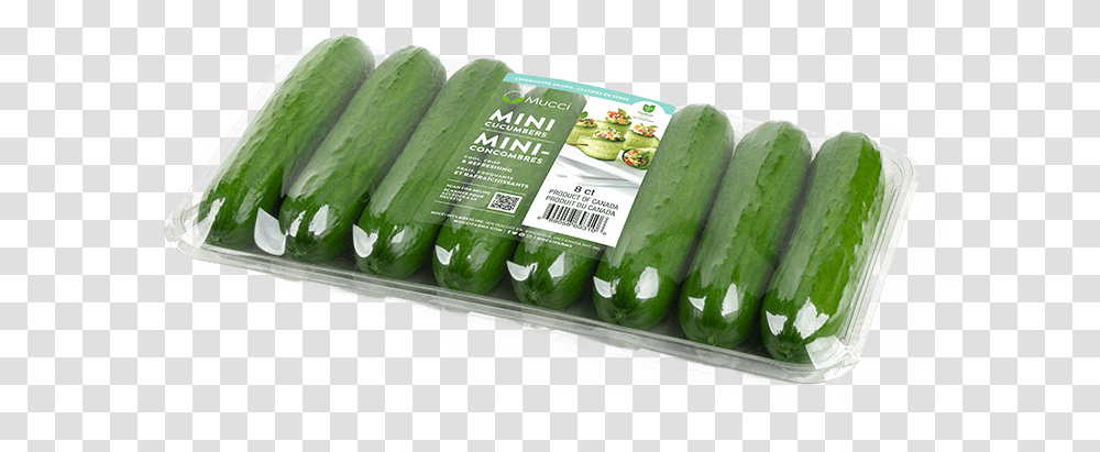 Mucci Farms Cucumber, Vegetable, Plant, Food Transparent Png