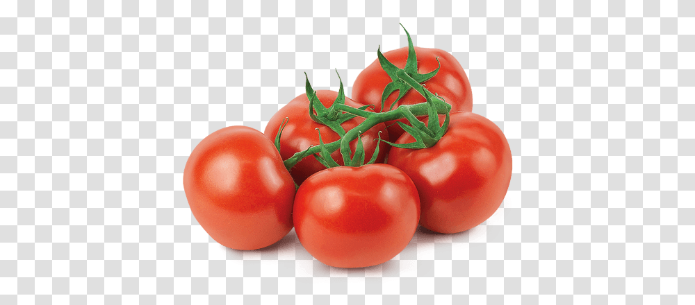 Mucci Farms, Plant, Vegetable, Food, Tomato Transparent Png