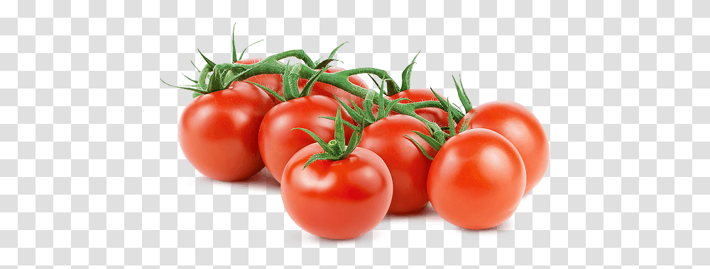 Mucci Farms Tomato, Plant, Vegetable, Food Transparent Png