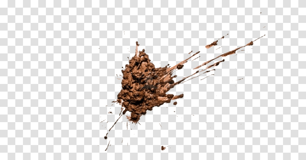 Mud, Nature, Soil, Plant, Person Transparent Png