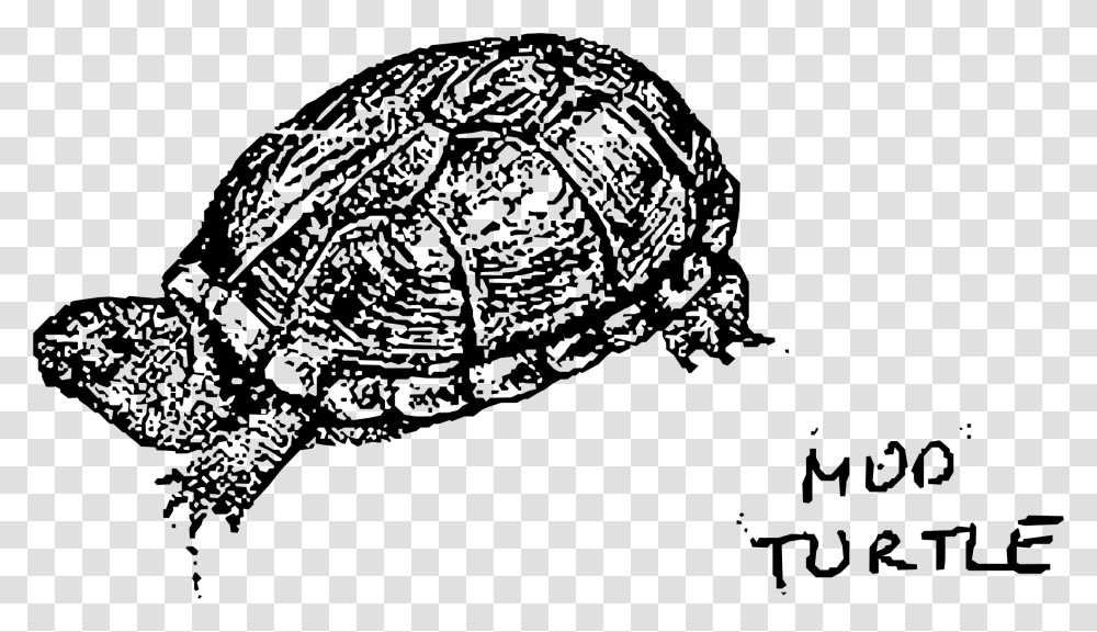 Mud Turtle Clip Arts Zow Blotny Do Kolorowania, Gray, World Of Warcraft Transparent Png