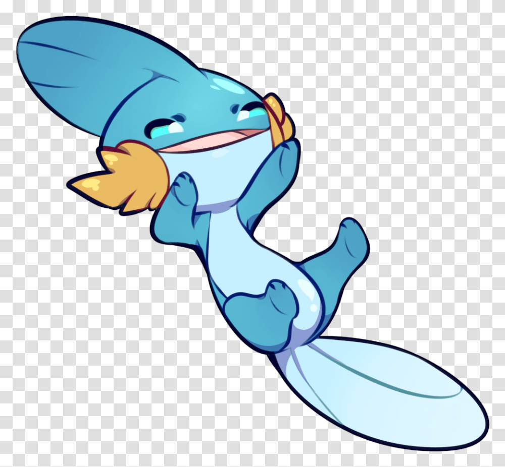 Mudkip, Animal, Bird Transparent Png