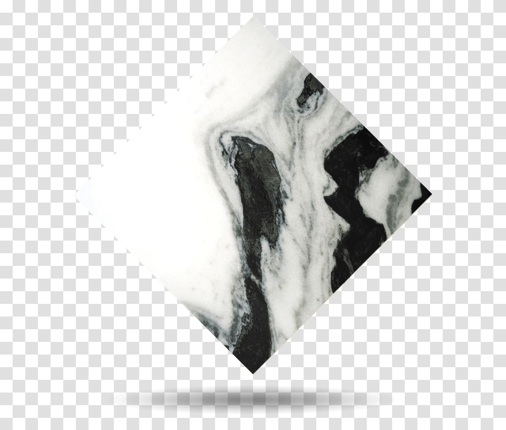 Muestra De Mrmol Waterfall, Fossil, X-Ray, Medical Imaging X-Ray Film Transparent Png
