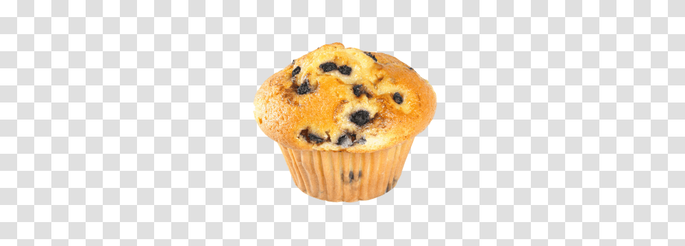 Muffin, Food, Dessert, Fungus, Plant Transparent Png