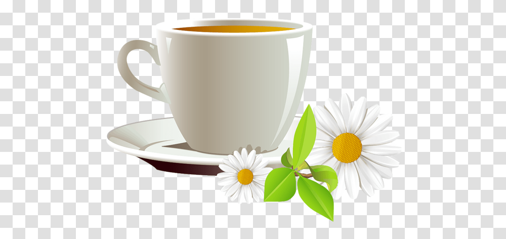 Mug Coffee, Drink, Plant, Saucer, Pottery Transparent Png