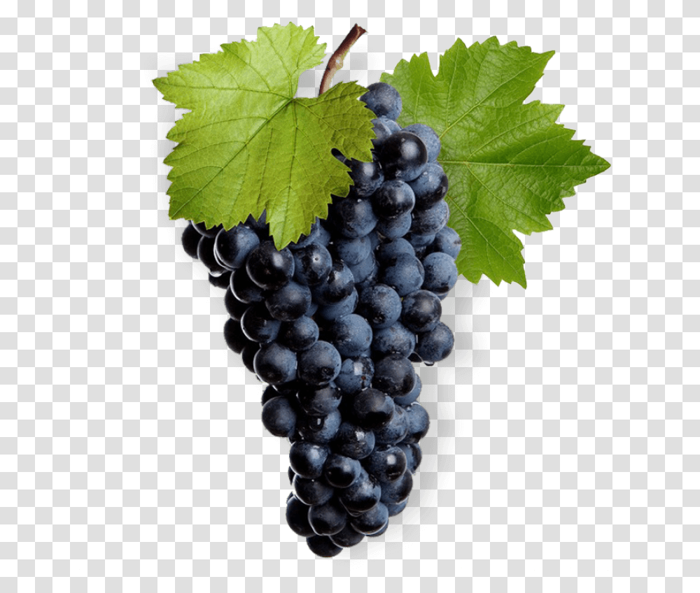 Mukuzani Winery Llc Grape Vine Leaf, Plant, Grapes, Fruit, Food Transparent Png